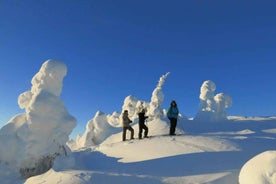 From Ruka: Snowshoeing in Riisitunturi National park