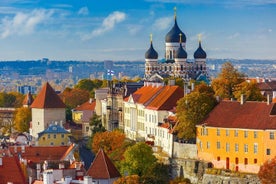 Excursion d’une journée à Tallinn au départ d'Helsinki