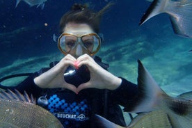 Antalya Scuba Diving Tour, With Lunch & Return Transfers