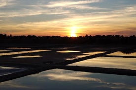 Immersivo tour privato delle saline