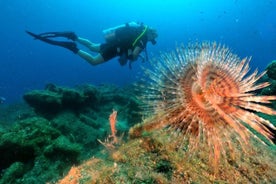 Descubra el buceo desde el puerto / hoteles de Kusadasi