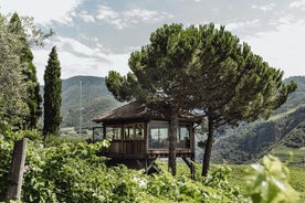 Visite de cave et dégustation à Bolzano dans le SKYWINE PAVILLON