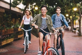 Private bike tour of Leipzig's most beautiful districts