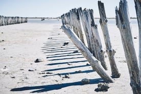 Camargue Small-Group Day Trip from Avignon