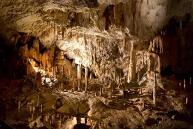 Viaje diario a la cueva Predjama y al castillo Postojna desde Pula