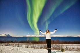 Tromso: Private Aurora Chase por Minivan