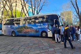 Desde Milán: tour en barco exclusivo por Lugano, Bellagio y Como