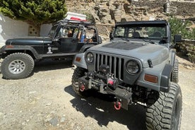 Privé Tinos offroad-tour