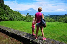 Meio dia privado Faial, uma primeira impressão