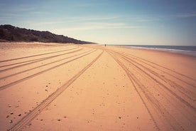 Tour di Un Giorno Intero al Doñana Natural Park da Siviglia