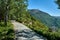 A path on Mount Fløyen. Hiking some of the city mountains around the center of Bergen, Norway.