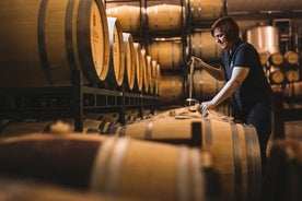 Visita a la bodega de aceite de oliva y Navarra con degustaciones y almuerzo en grupo pequeño.