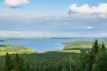 Hotel e luoghi in cui soggiornare a Sotkamo, Finlandia