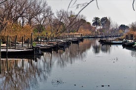 Albufera: Järvi, Paella ja lintujen tarkkailu