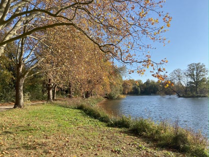 photo of view of Autumn trees around a lake in the provinciaal domein in Kessel-Lo, Leuven, Belgium.