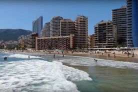 Transfer from Calpe to Alicante airport in private Minivan max. 6 passengers