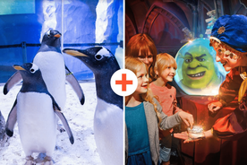 SEA LIFE London & DreamWorks Shrek's Adventure: Combo Ticket