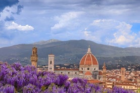 Boboli og Bardini Gardens Skip-the-line inngangsbillett i Firenze