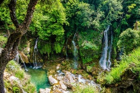 Découvrez nos champs et notre visite partagée d'une journée au lac au départ de Nice