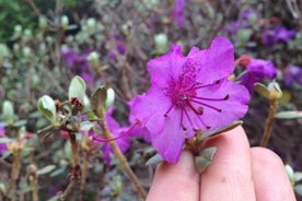 Skip-the-Line: Eintrittskarte für den Botanischen Garten