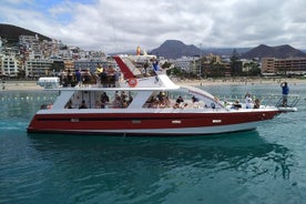 Tenerife Los Cristianos: Eco-iate de baleias e golfinhos e parada para nadar