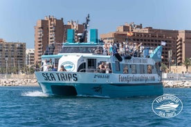 Fuengirola: Catamaran Tour to Spot Dolphins