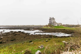 Frá Galway: Cliffs of Moher og The Burren leiðsöguferð dagsferð