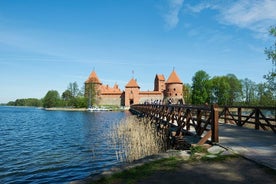 Tour privato di Trakai da Vilnius