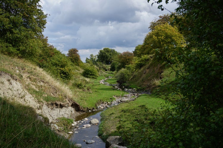 photo of Rinnebäck Gorge Nature preserve in Lund, Sweden.