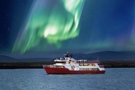 Northern Lights -risteily Reykjavikin keskustasta