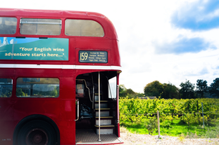 15 Best Things to Do in Brighton, UK (+ 5 Unique Alternatives You’ll Love)