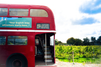 15 Best Things to Do in Brighton, UK (+ 5 Unique Alternatives You’ll Love)