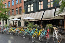 Copenhagen: City Highlights Guided Bike Tour