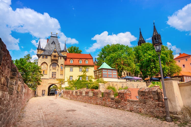 View of Meissen, saxony, with vine yard in summer