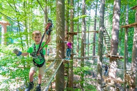 Ropes Park Interlaken