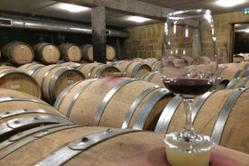 Cotes du Rhone Wine Tour (9:00 till 17:15) - Small Group Tour från Lyon