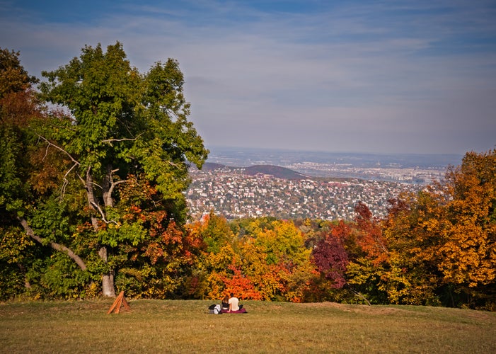 Normafa, a popular picnic spot in Budapest, Hungary.jpg