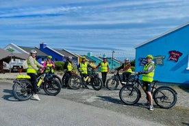 Visite du goût du Connemara en vélo électrique Fat Tire