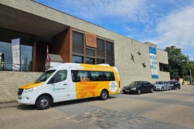 Tour de un día por el Mosela de Luxemburgo con cata de vinos