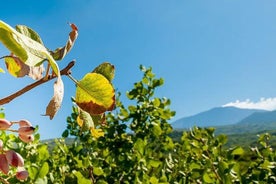 Etna-tour og pistacie-frokost - Sicily Hiking Tour