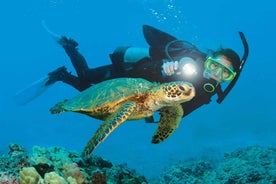 Alanya: Discover Scuba Diving Scuba Tour for Beginners