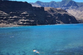 Dagstur på norra Gran Canaria med vinprovning