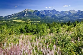 Zakopane: tour di 1 giorno dei Monti Tatra da Cracovia