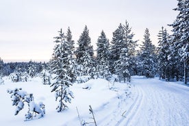 Vélsleðaakstur - Síðdegis ræst