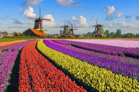 Best of Netherlands: Zaanse Schans, The Hague & Rotterdam