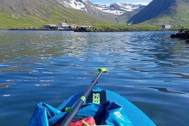 Guided SUP tour in Siglufjörður / Siglufjordur.