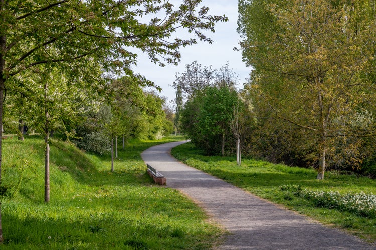 Photo of Beautiful green spring park in Frankenthal - Mörsch .