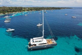 Cannes: Half-Day Catamaran Cruise with Lunch