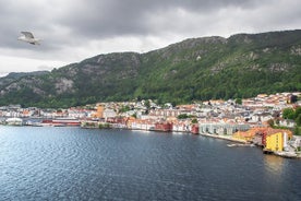 Privétransfer van Oslo naar Bergen met een stop van 2 uur