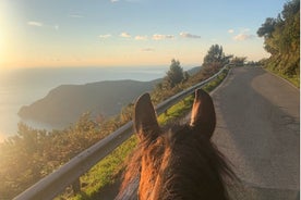 Ratsastus Monterosso al Mare Cinque Terren rannikolla